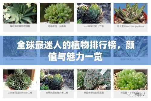 标新创异 第5页