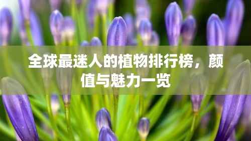 全球最迷人的植物排行榜,颜值与魅力一览