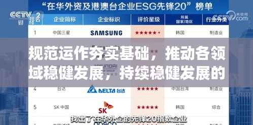 规范运作夯实基础，推动各领域稳健发展，持续稳健发展的基石
