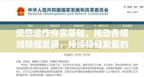规范运作夯实基础,推动各领域稳健发展,持续稳健发展的基石