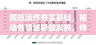 规范运作夯实基础,推动各领域稳健发展,持续稳健发展的基石