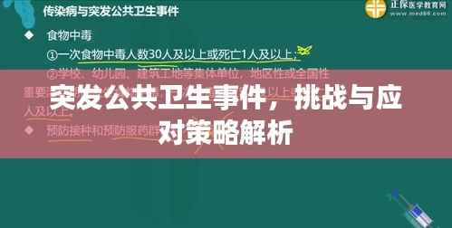 突发公共卫生事件,挑战与应对策略解析