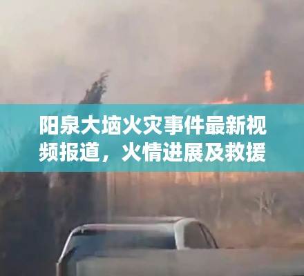 阳泉大垴火灾事件最新视频报道,火情进展及救援行动全解析