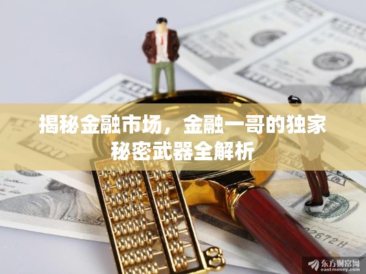 揭秘金融市场,金融一哥的独家秘密武器全解析