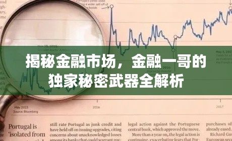 揭秘金融市场,金融一哥的独家秘密武器全解析