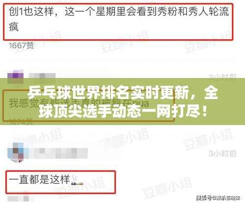 乒乓球世界排名实时更新，全球顶尖选手动态一网打尽！