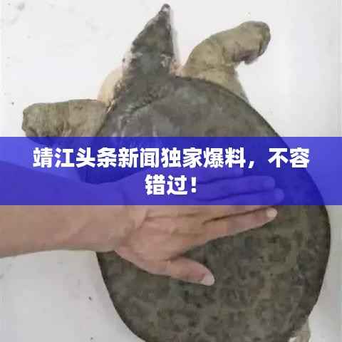 靖江头条新闻独家爆料,不容错过!