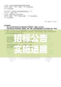 招标公告实施进展深度解析