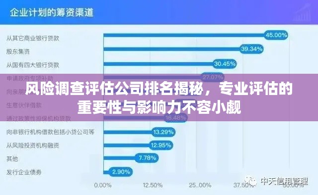 风险调查评估公司排名揭秘,专业评估的重要性与影响力不容小觑
