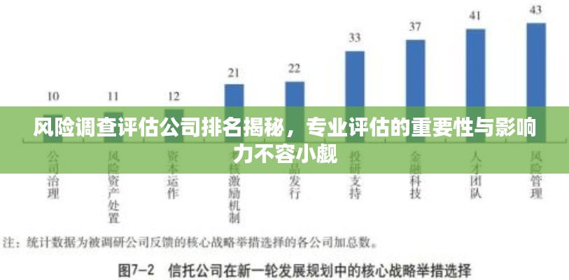 风险调查评估公司排名揭秘,专业评估的重要性与影响力不容小觑
