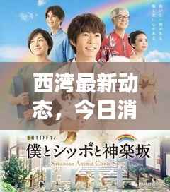 西湾最新动态,今日消息一网打尽!