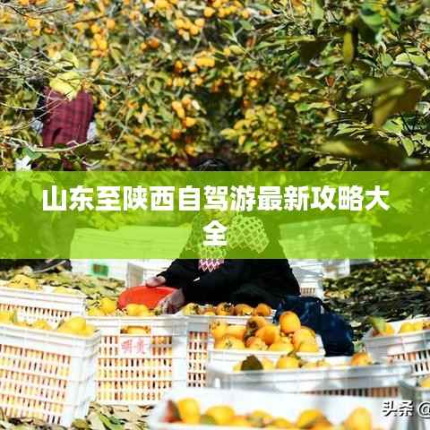 山东至陕西自驾游最新攻略大全