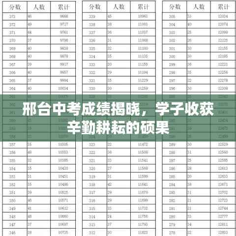 邢台中考成绩揭晓，学子收获辛勤耕耘的硕果