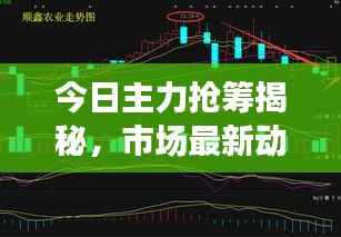 今日主力抢筹揭秘,市场最新动向与投资策略速递