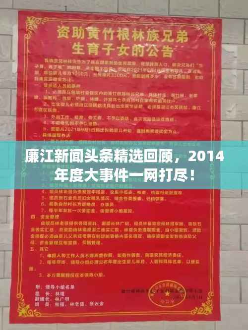 廉江新闻头条精选回顾,2014年度大事件一网打尽!