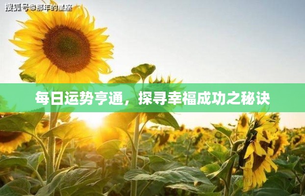 每日运势亨通,探寻幸福成功之秘诀