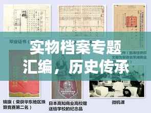 实物档案专题汇编,历史传承的价值记录