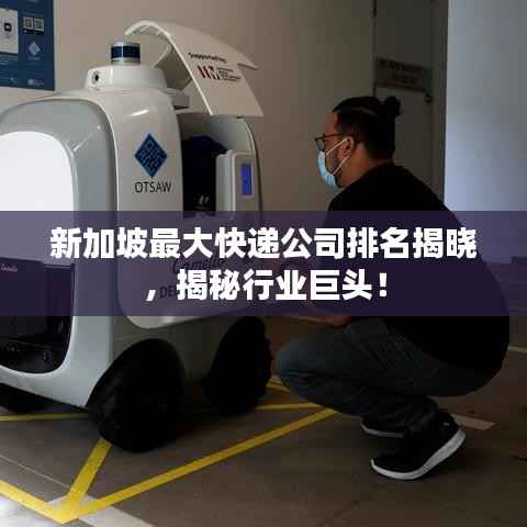 新加坡最大快递公司排名揭晓,揭秘行业巨头!