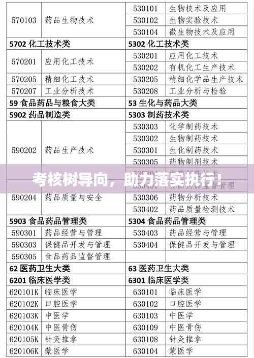 考核树导向,助力落实执行!