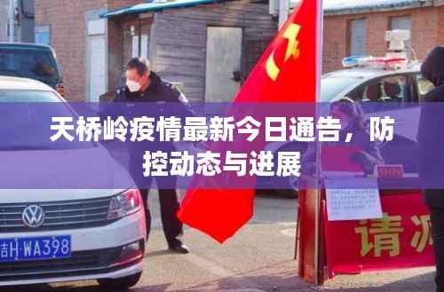 天桥岭疫情最新今日通告，防控动态与进展