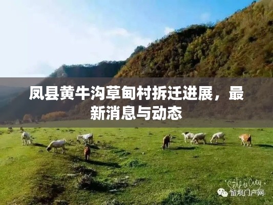 凤县黄牛沟草甸村拆迁进展,最新消息与动态