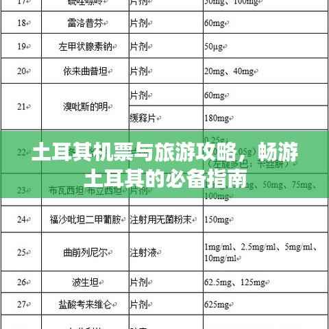 土耳其机票与旅游攻略,畅游土耳其的必备指南