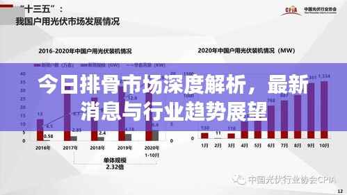 今日排骨市场深度解析,最新消息与行业趋势展望
