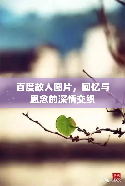 百度故人图片,回忆与思念的深情交织