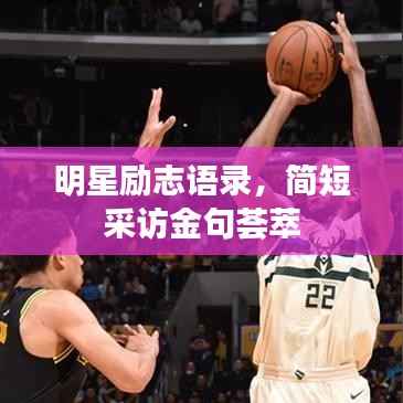 明星励志语录，简短采访金句荟萃