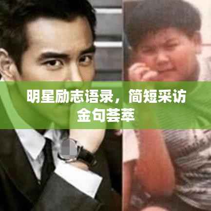 明星励志语录,简短采访金句荟萃