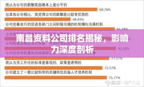 南昌资料公司排名揭秘，影响力深度剖析