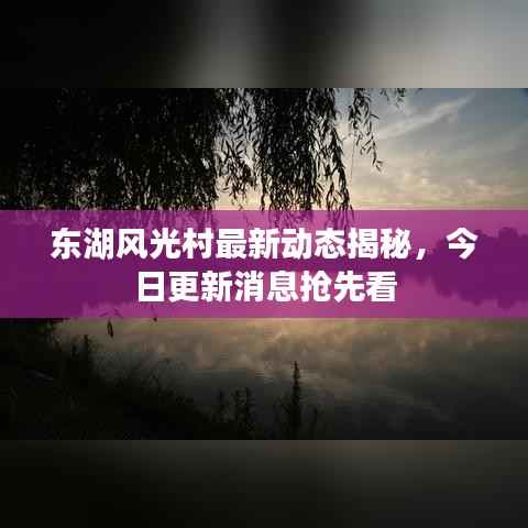 东湖风光村最新动态揭秘,今日更新消息抢先看