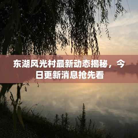 东湖风光村最新动态揭秘，今日更新消息抢先看