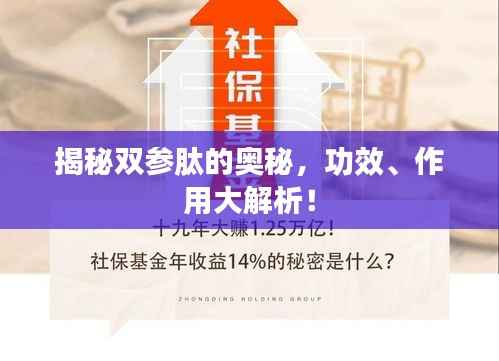 揭秘双参肽的奥秘,功效、作用大解析!