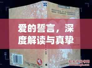 爱的誓言，深度解读与真挚感悟