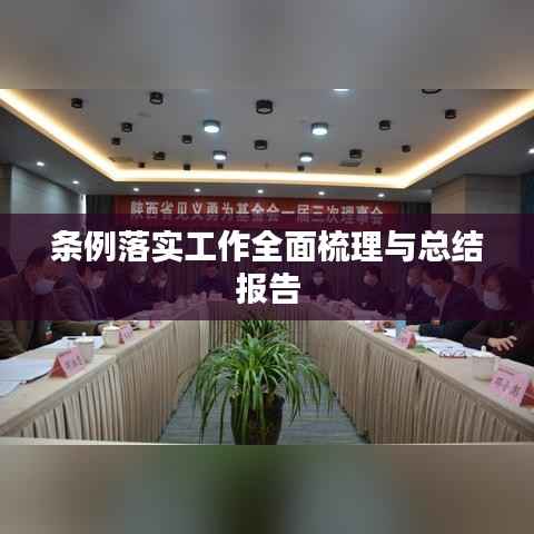 条例落实工作全面梳理与总结报告