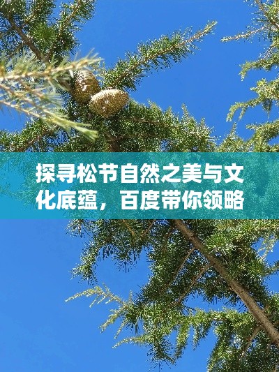 探寻松节自然之美与文化底蕴,百度带你领略自然奥秘!