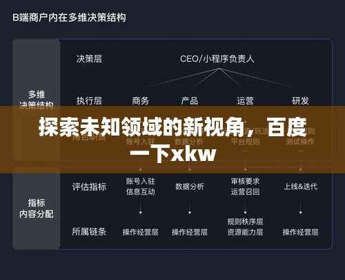 探索未知领域的新视角,百度一下xkw