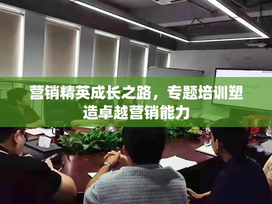营销精英成长之路,专题培训塑造卓越营销能力
