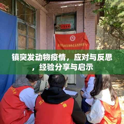 镇突发动物疫情，应对与反思，经验分享与启示