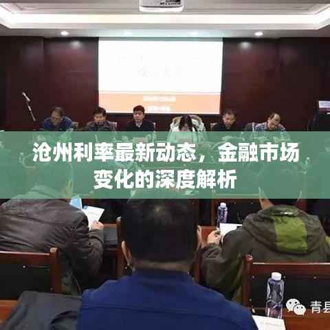 沧州利率最新动态,金融市场变化的深度解析