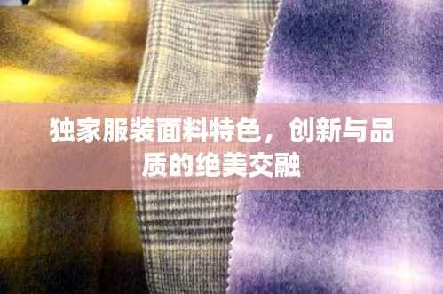 独家服装面料特色,创新与品质的绝美交融