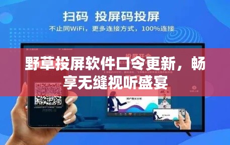 野草投屏软件口令更新,畅享无缝视听盛宴