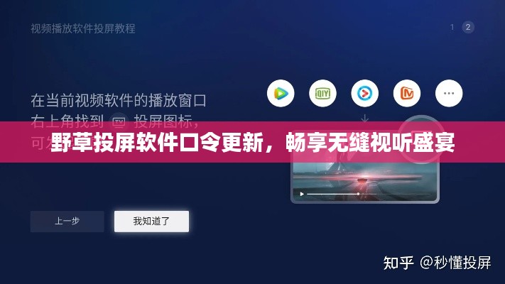 野草投屏软件口令更新,畅享无缝视听盛宴