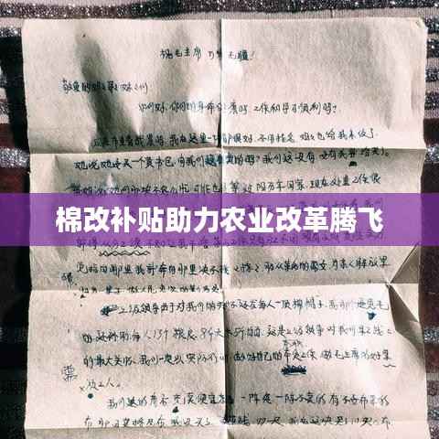 自作主张 第4页