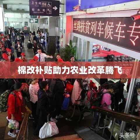 棉改补贴助力农业改革腾飞