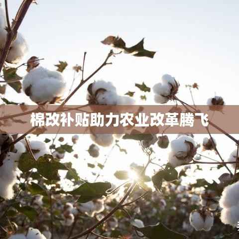 棉改补贴助力农业改革腾飞