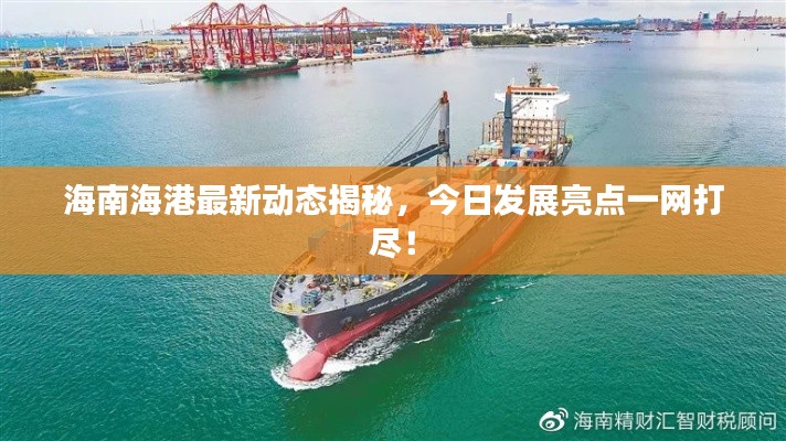 海南海港最新动态揭秘,今日发展亮点一网打尽!