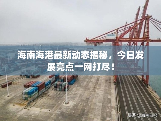 海南海港最新动态揭秘,今日发展亮点一网打尽!