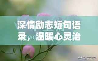 深情励志短句语录,温暖心灵治愈力量